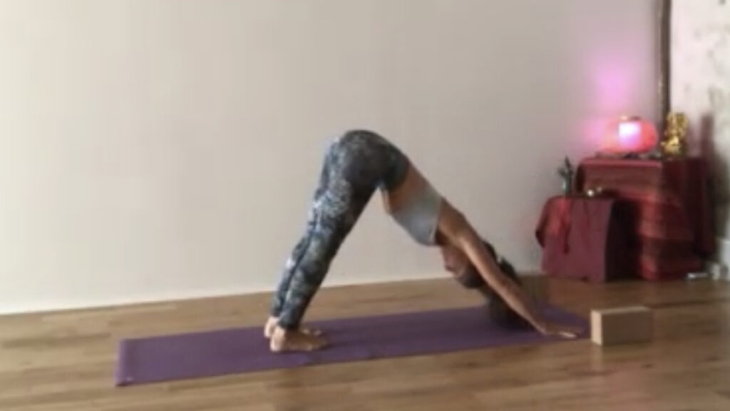 Stage de yoga  débutant à narbonne