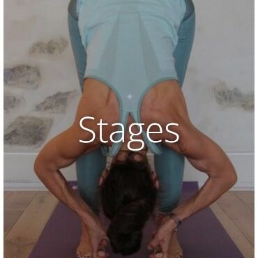 Planning des cours de  Yoga