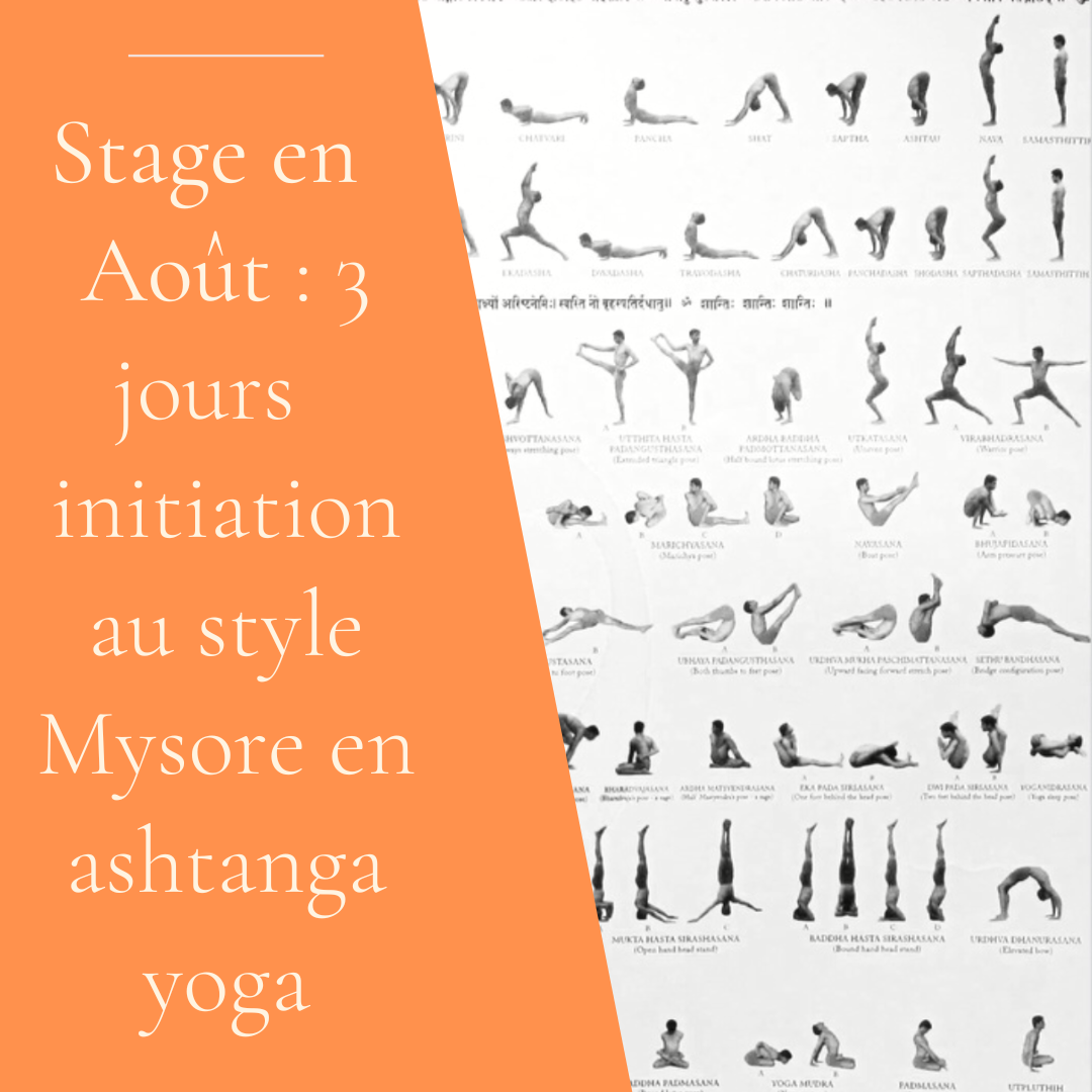 29 au 1er septembre : stage de yoga avant la reprise