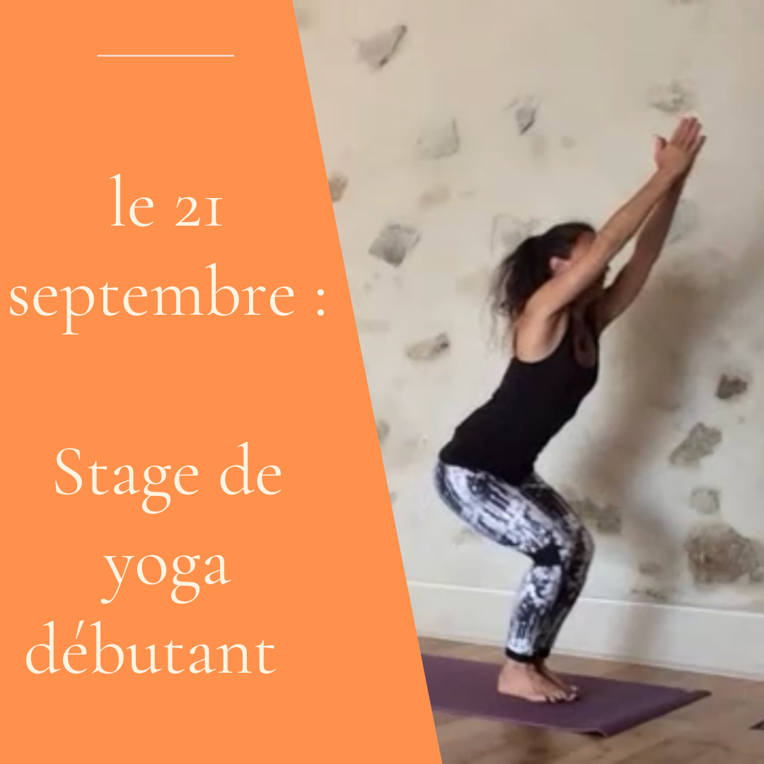 2/ Stage de yoga débutant