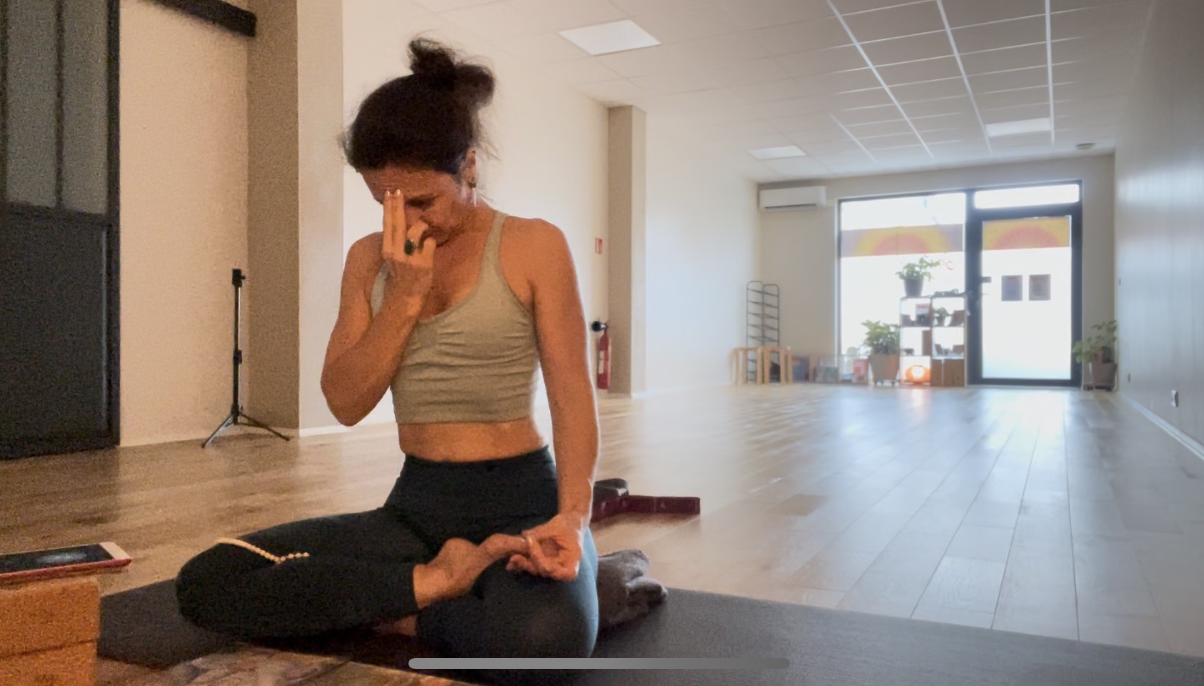 Stage ashtanga vinyasa yoga & prana kriya & anatomie