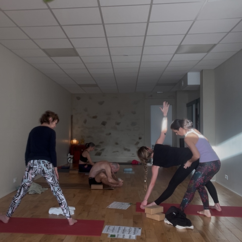 STAGE intensif ASHTANGA