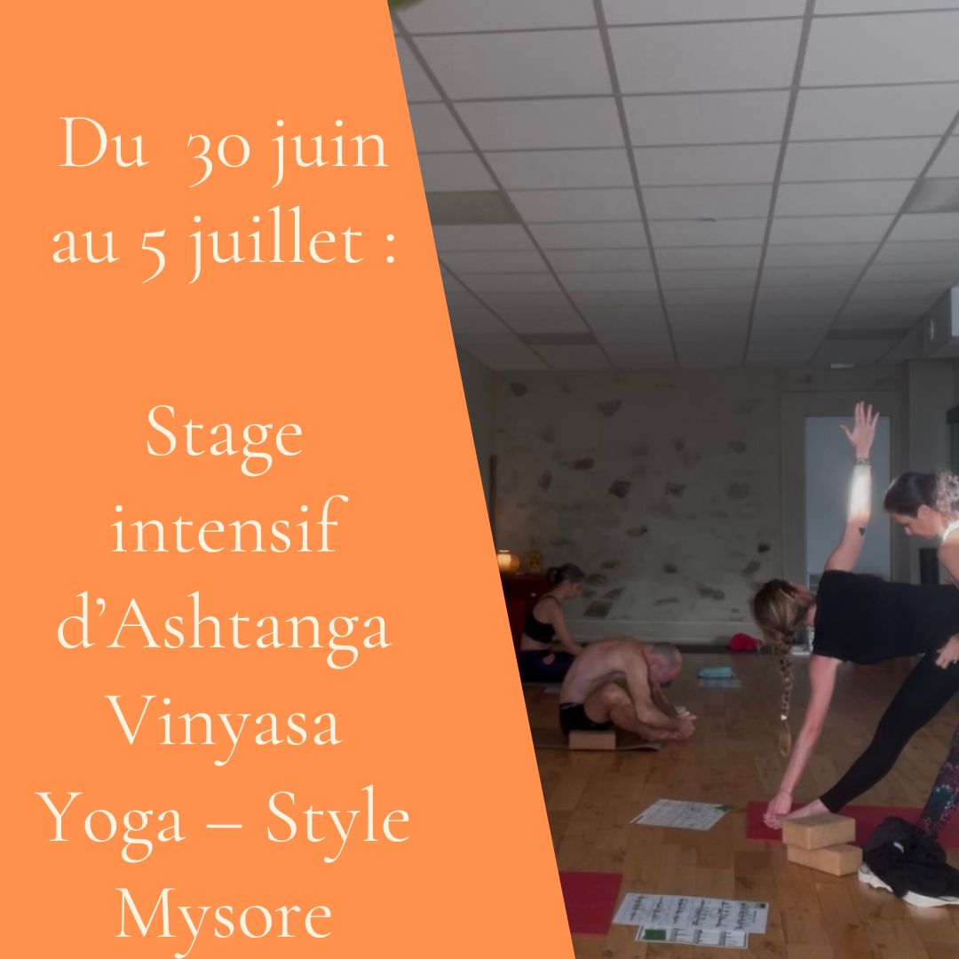 5 – Stage intensif d’Ashtanga Vinyasa Yoga